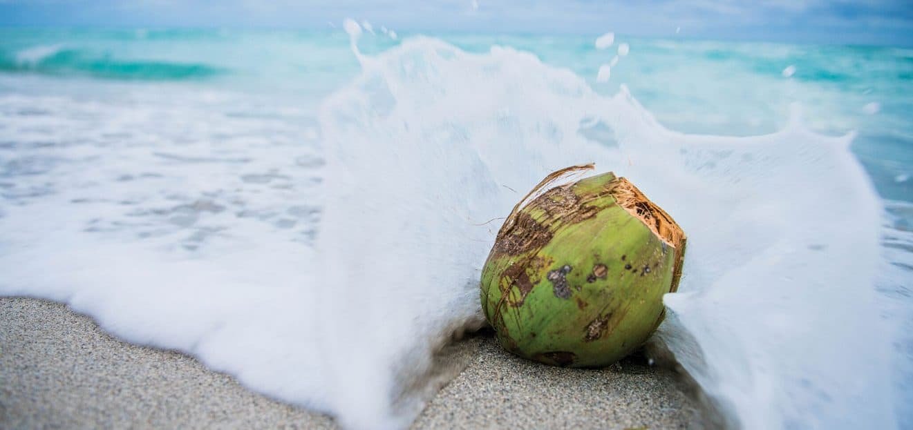 Health Benefits Of Coconut Water